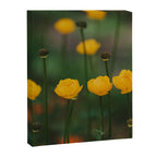 Flower Rhythm - Landscape and Nature Photography Canvas Print Gallery Image 6
