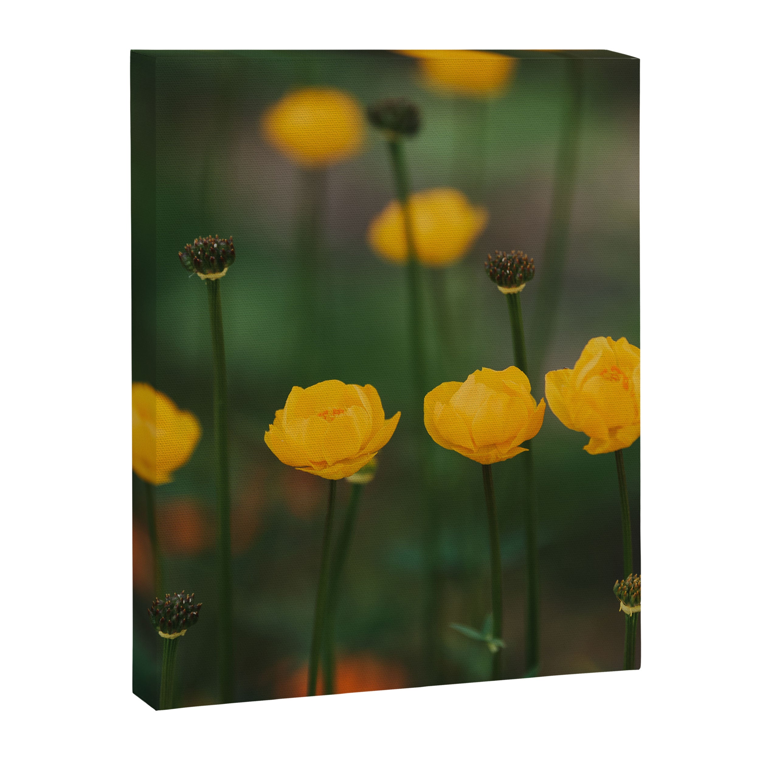 Flower Rhythm - Landscape and Nature Photography Canvas Print Gallery Image 6