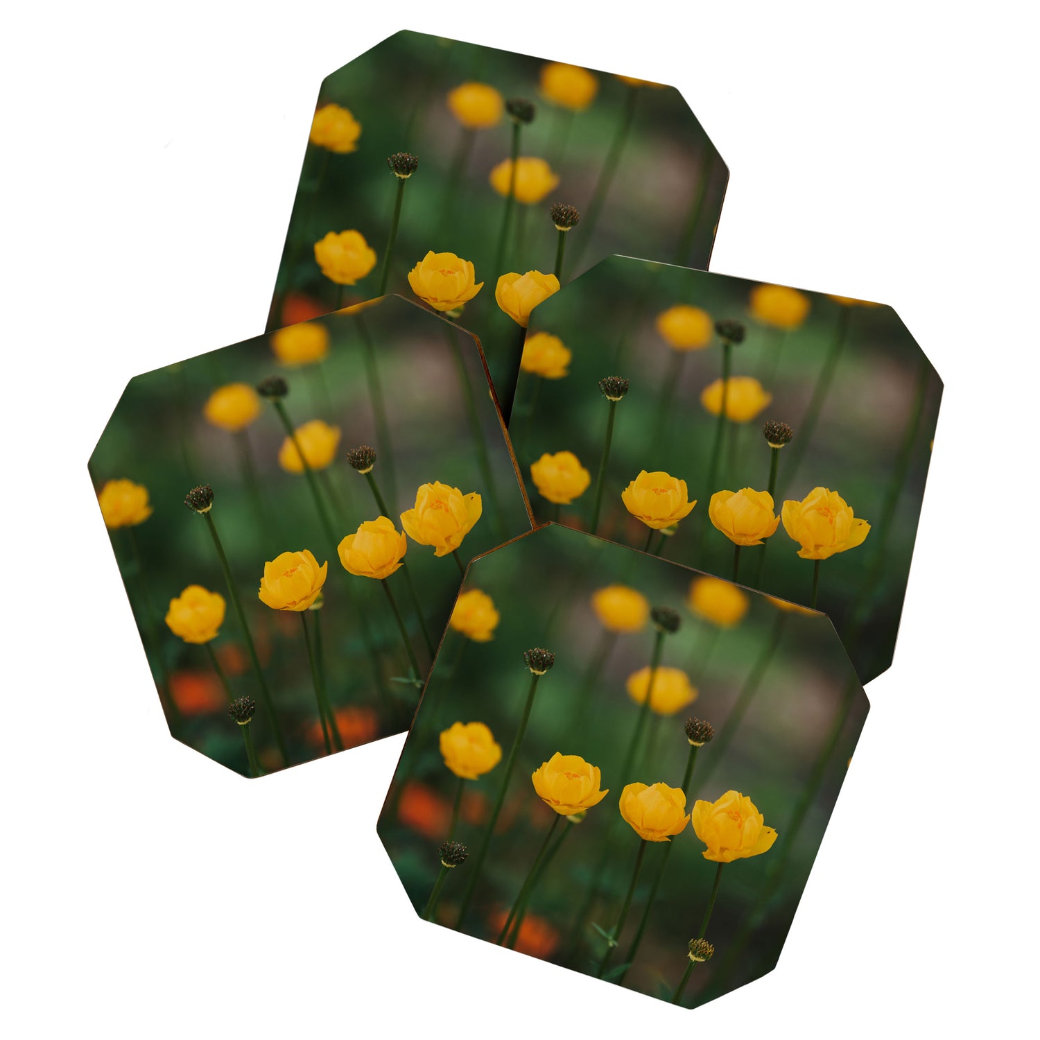 Flower Rhythm - Landscape and Nature Photography Coaster Gallery Image 1