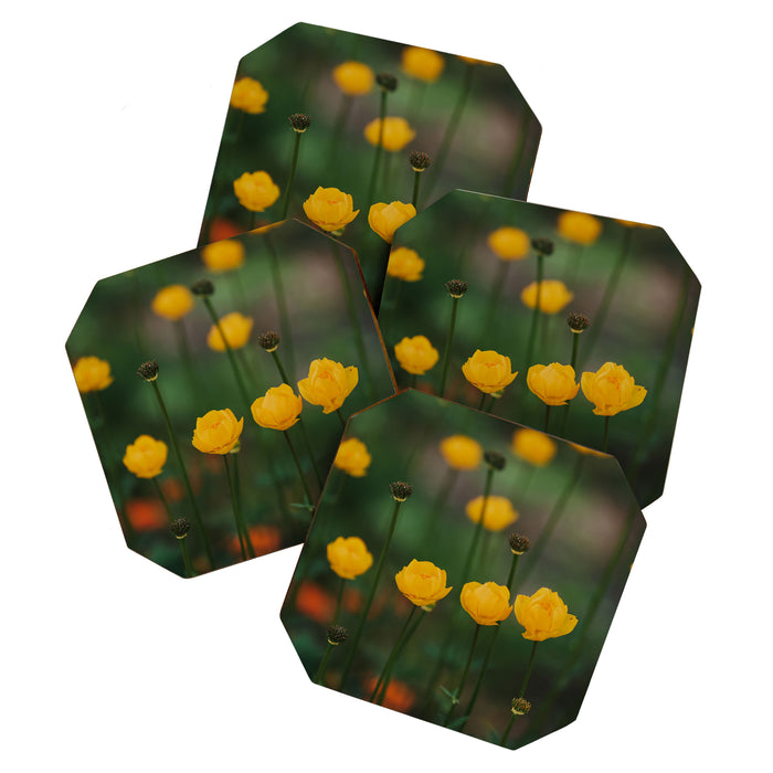 Flower Rhythm - Landscape and Nature Photography Coaster Gallery Image 1