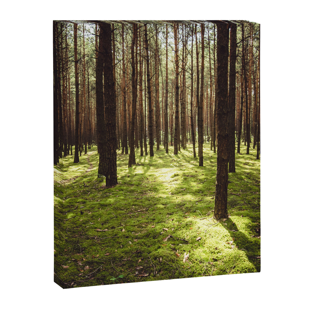 FOREST - Landscape and Nature Photography Canvas Print Gallery Image 6