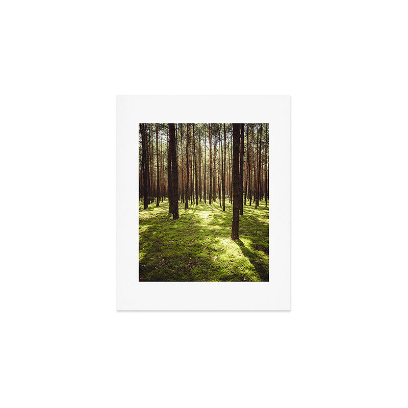 FOREST - Landscape and Nature Photography Art Print Gallery Image 1