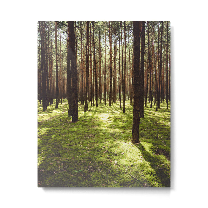 FOREST - Landscape and Nature Photography Metal Print Gallery Image 1