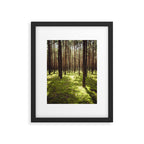 FOREST - Landscape and Nature Photography Framed Art Print Gallery Image 5