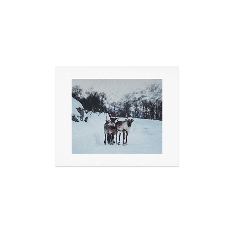 Hitch-hikers - Landscape and Nature Photography Art Print Gallery Image 1