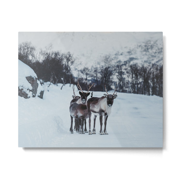 Hitch-hikers - Landscape and Nature Photography Metal Print Gallery Image 1