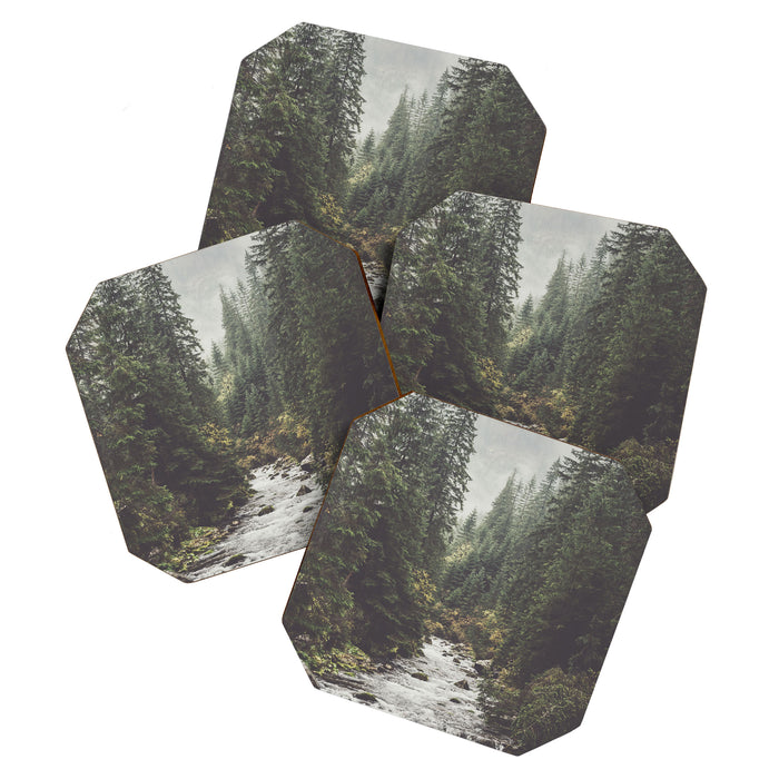 Mountain creek - Landscape and Nature Photography Coaster Gallery Image 1