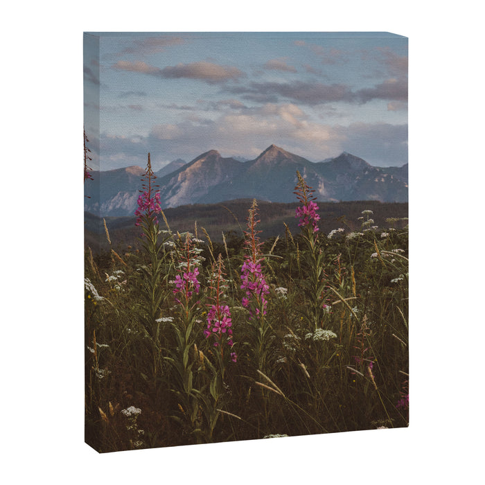 Mountain vibes - Landscape and Nature Photography Canvas Print Gallery Image 1
