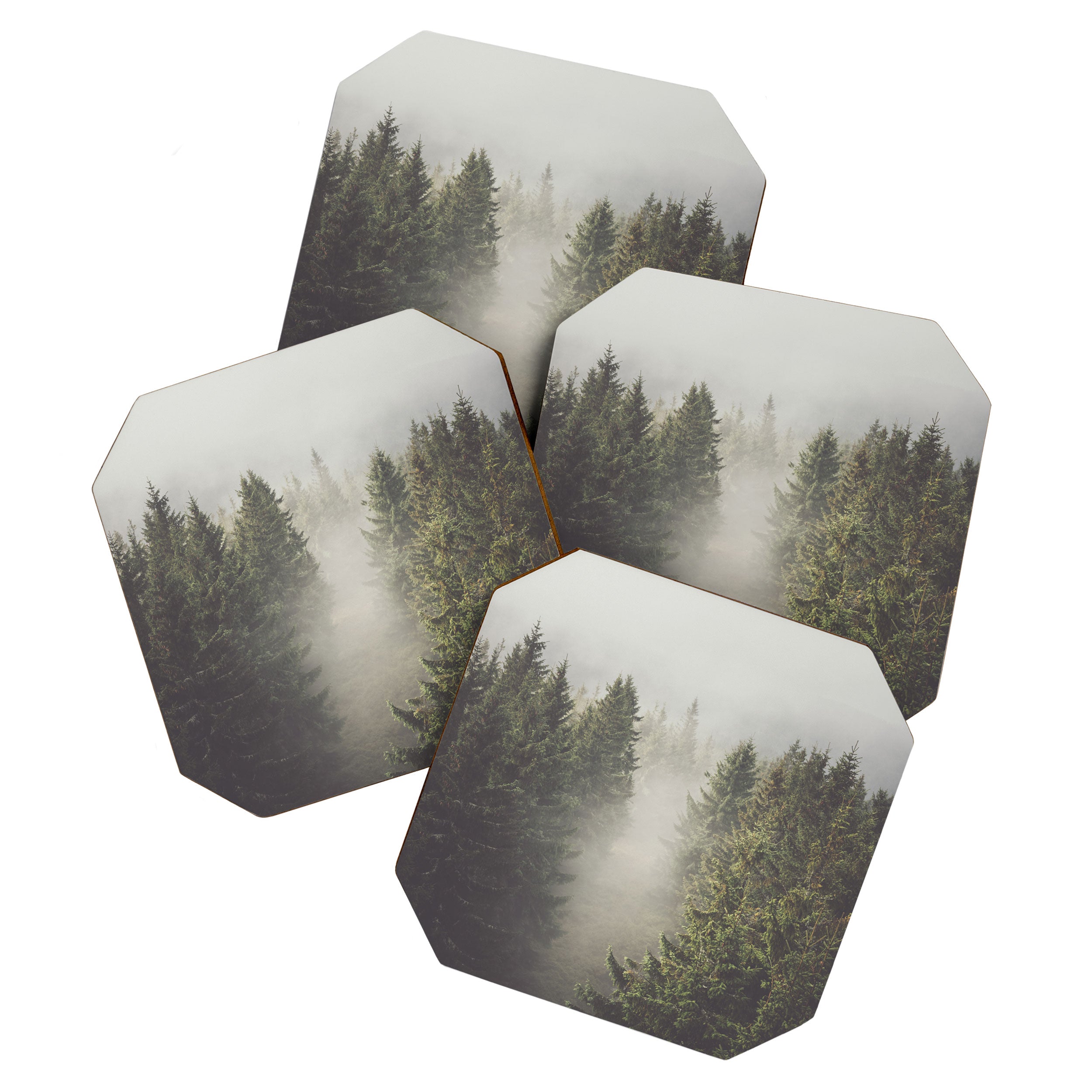 My misty way - Landscape and Nature Photography Coaster Gallery Image 1