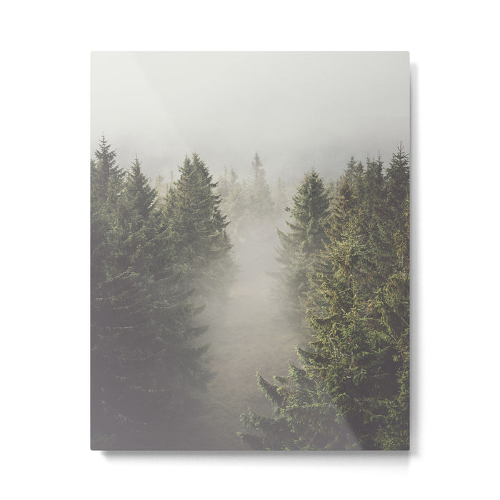 My misty way - Landscape and Nature Photography Metal Print Gallery Image 1