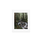 The Fairytale Forest - Landscape and Nature Photography Art Print Gallery Image 1
