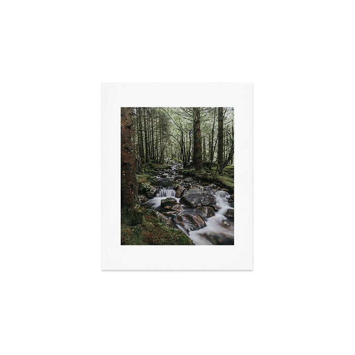 The Fairytale Forest - Landscape and Nature Photography Art Print Gallery Image 1