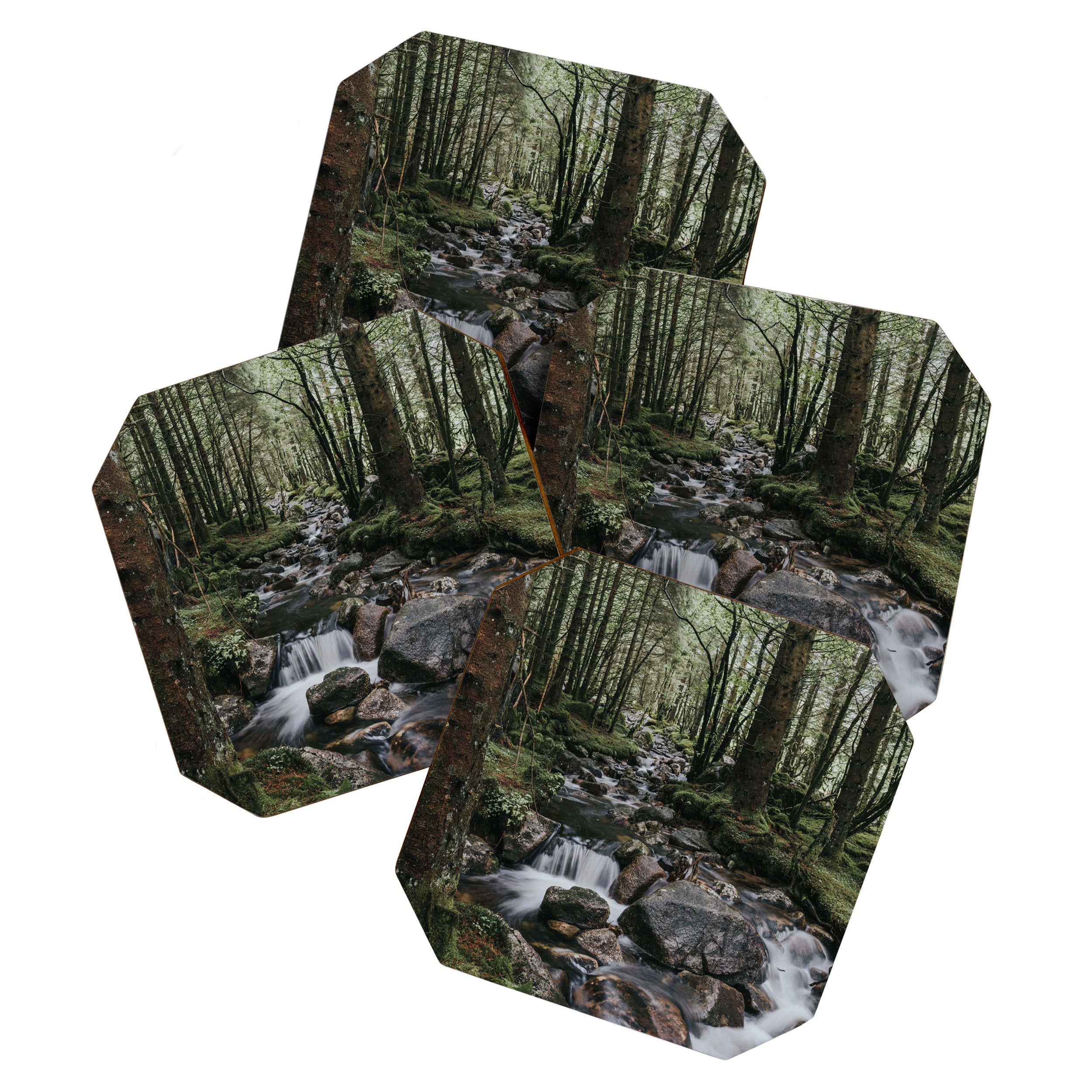 The Fairytale Forest - Landscape and Nature Photography Coaster Gallery Image 1