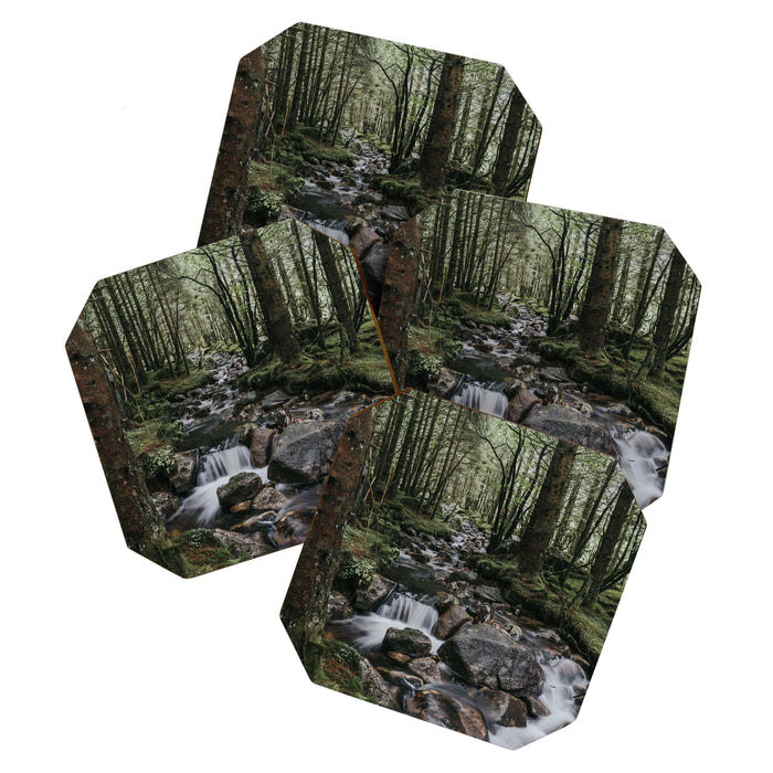 The Fairytale Forest - Landscape and Nature Photography Coaster Gallery Image 1