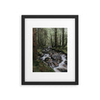 The Fairytale Forest - Landscape and Nature Photography Framed Art Print Gallery Image 5