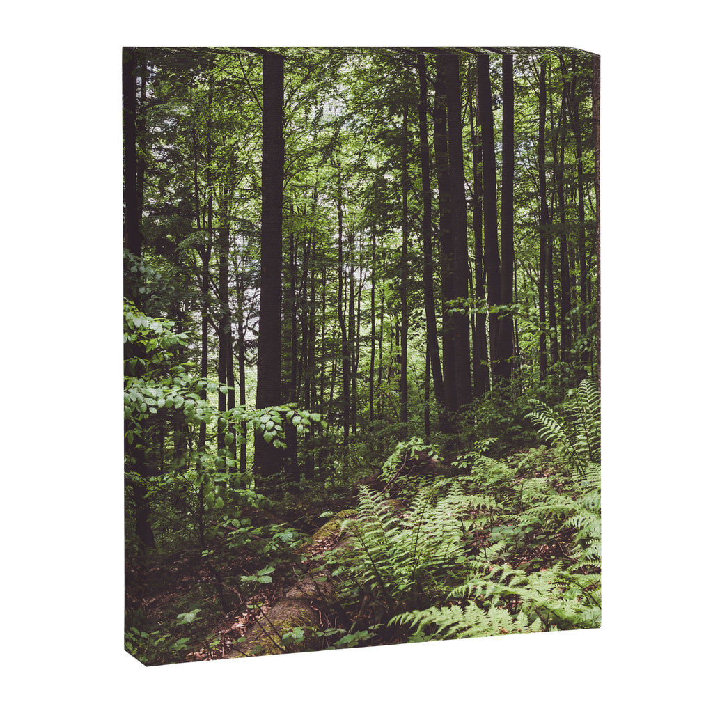 Woodland - Landscape and Nature Photography Canvas Print Gallery Image 8