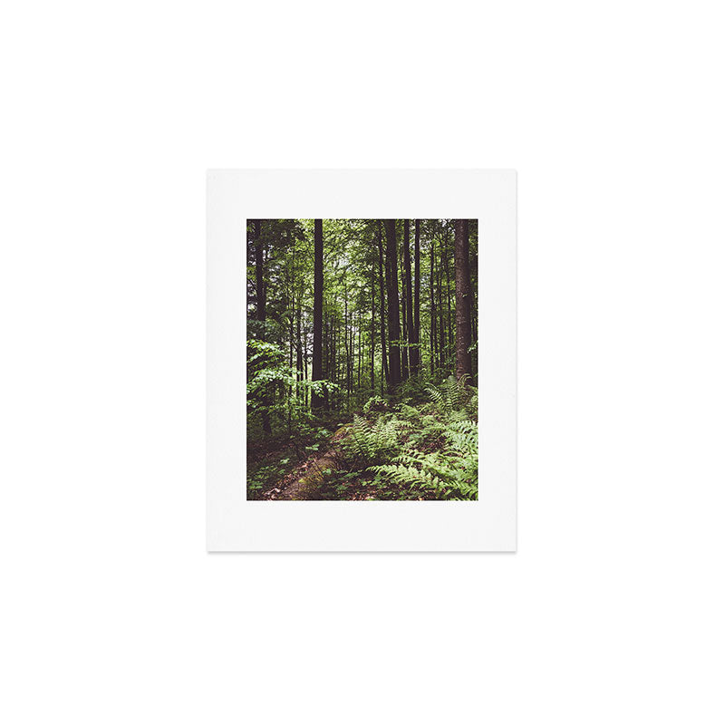 Woodland - Landscape and Nature Photography Art Print Gallery Image 1