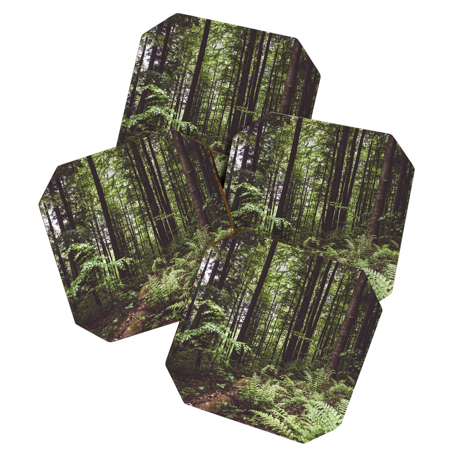 Woodland - Landscape and Nature Photography Coaster Gallery Image 1