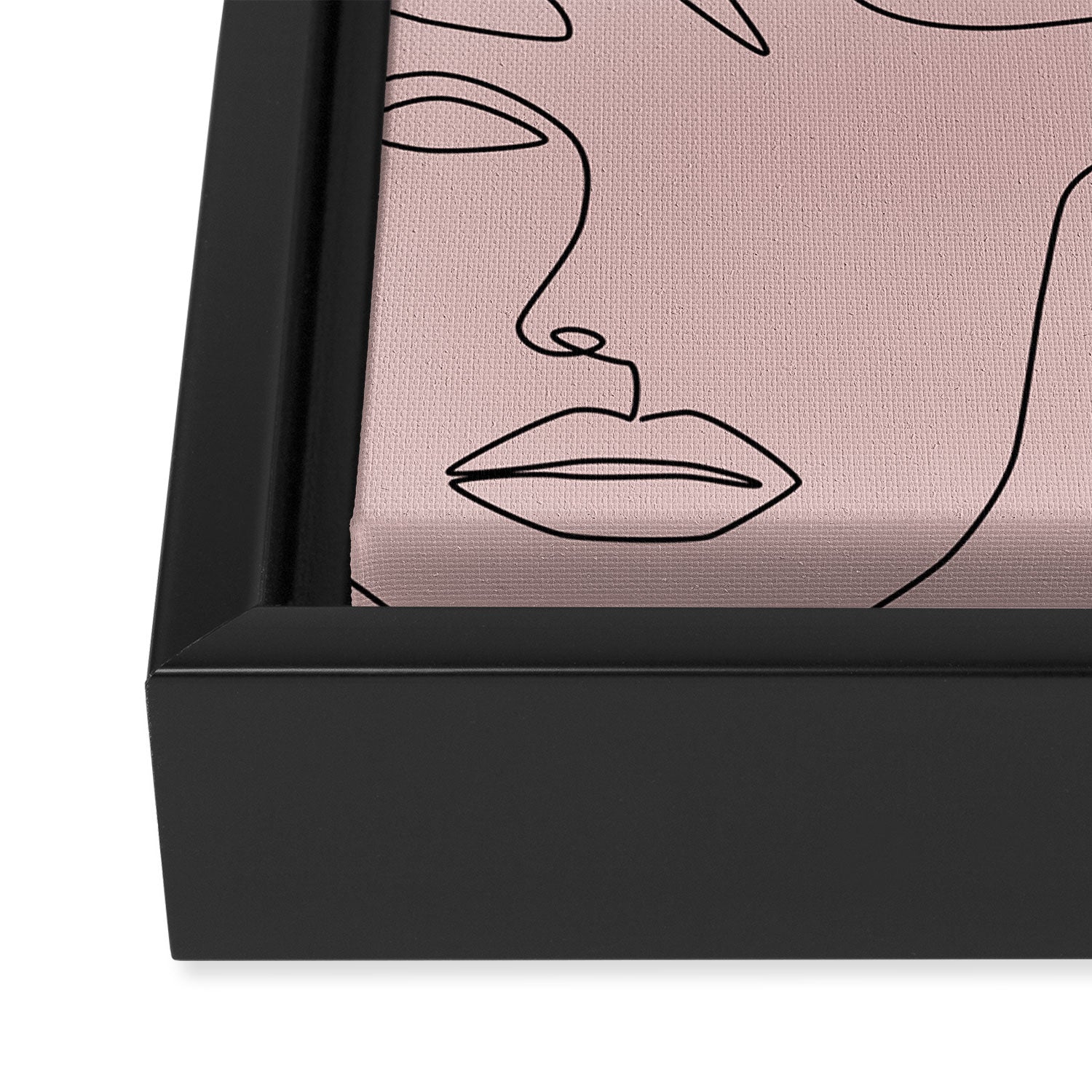 Blush Faces Framed Canvas Print Gallery Image 3