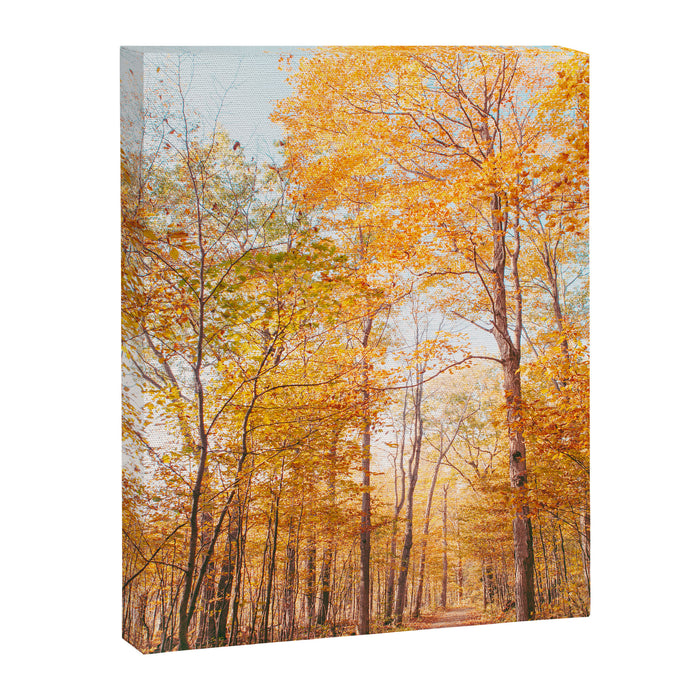 Autumn Glory - Nature, Fall Forest Landscape Photography Canvas Print Gallery Image 1