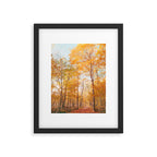 Autumn Glory - Nature, Fall Forest Landscape Photography Framed Art Print Gallery Image 4
