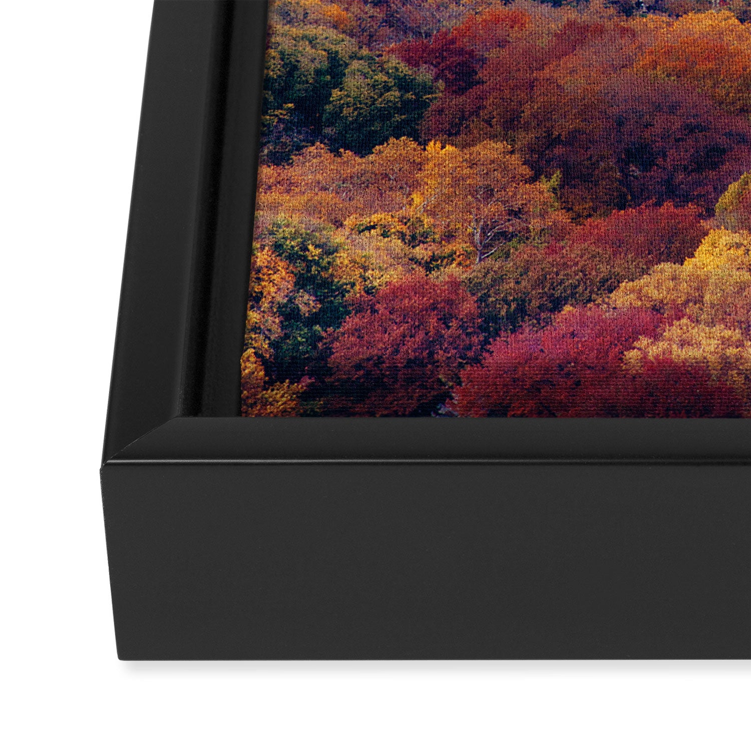 Autumn in New York - Travel Photography Framed Canvas Print Gallery Image 3