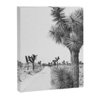 Black and White Cactus - Joshua Tree Canvas Print Gallery Image 6