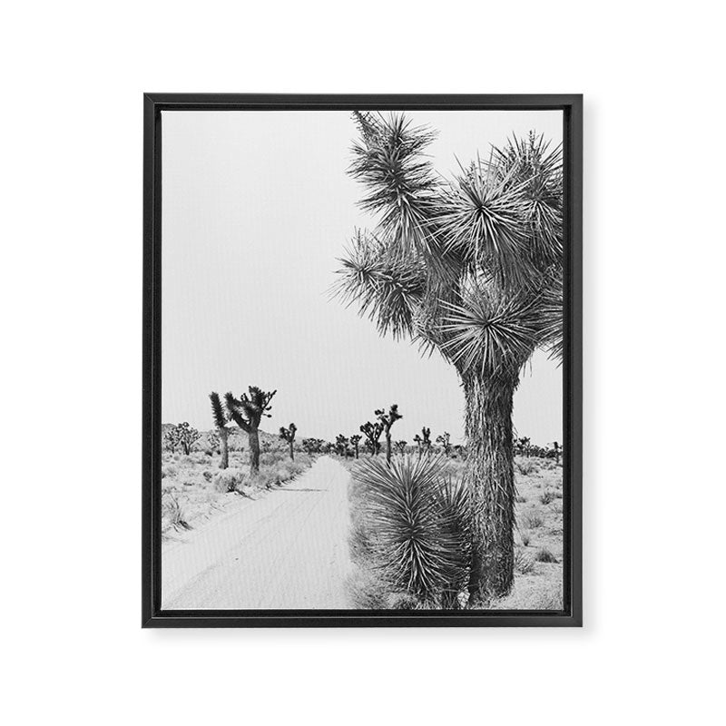 Black and White Cactus - Joshua Tree Framed Canvas Print Gallery Image 6