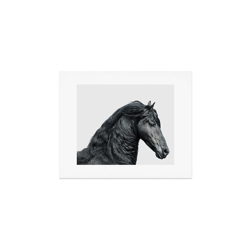 Black Beauty - Minimalist Black and White Photography Art Print Gallery Image 1