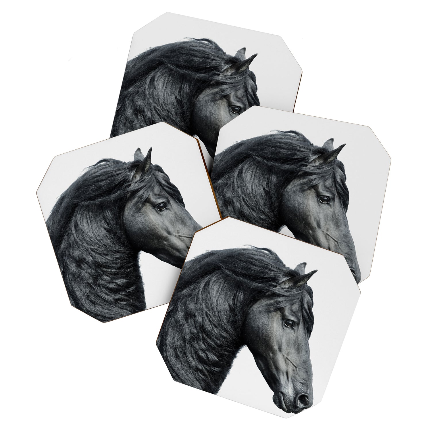 Black Beauty - Minimalist Black and White Photography Coaster Gallery Image 1