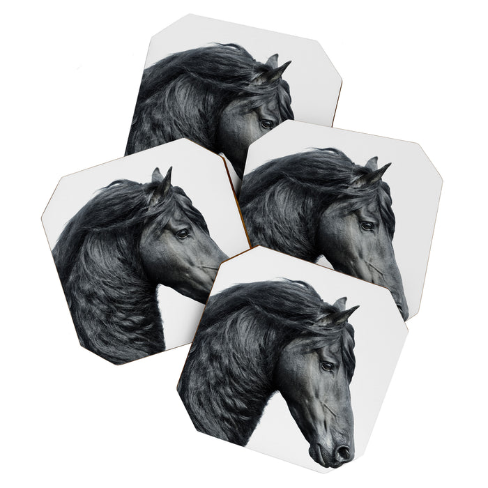 Black Beauty - Minimalist Black and White Photography Coaster Gallery Image 1