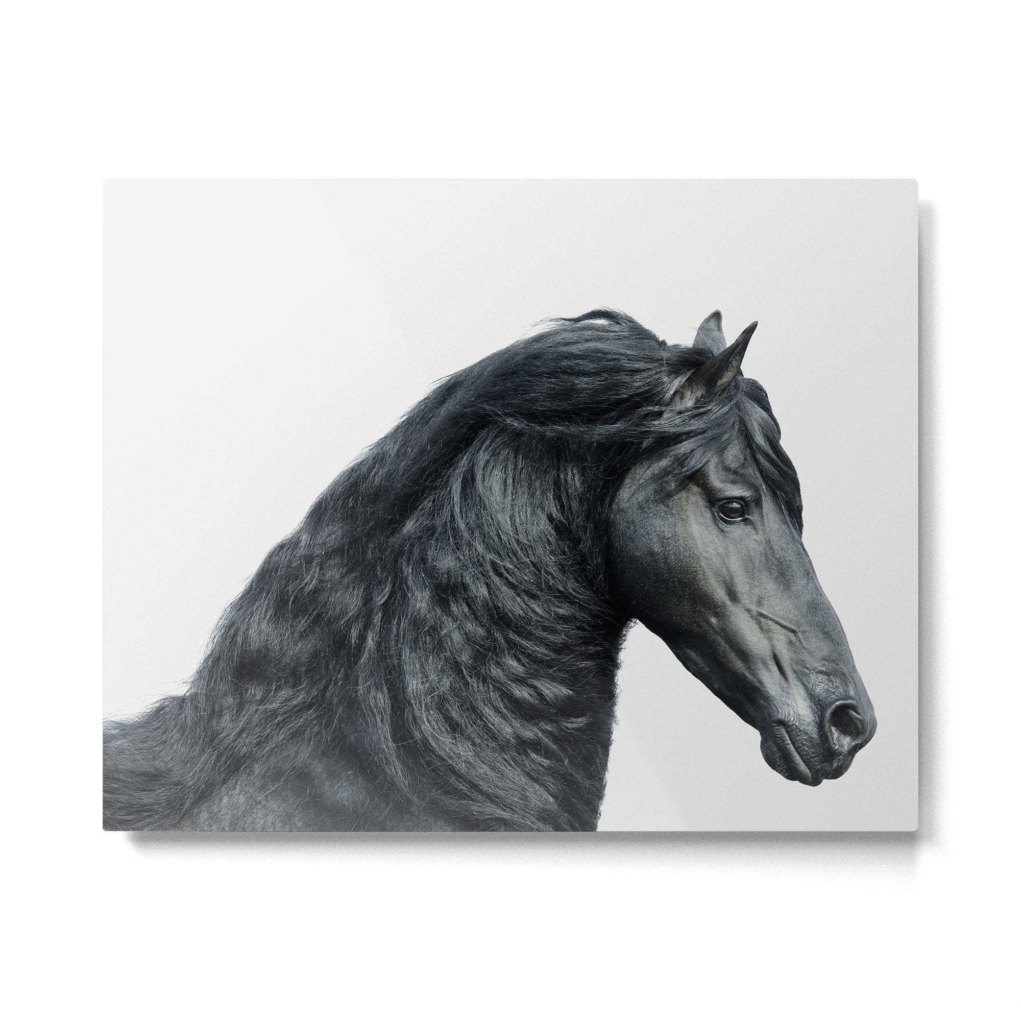 Black Beauty - Minimalist Black and White Photography Metal Print Gallery Image 4
