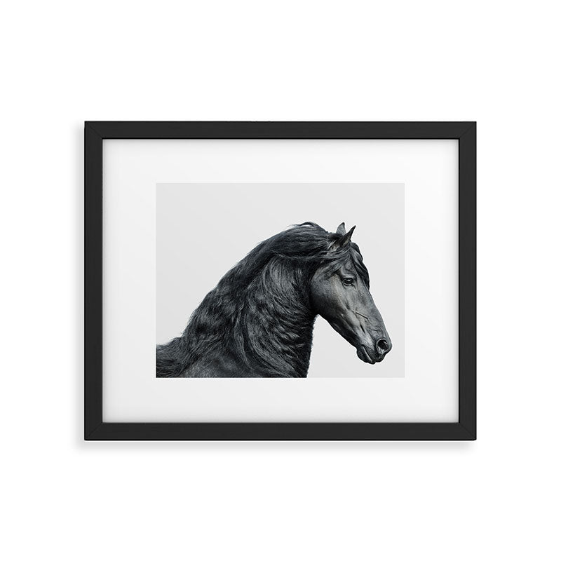 Black Beauty - Minimalist Black and White Photography Framed Art Print Gallery Image 5