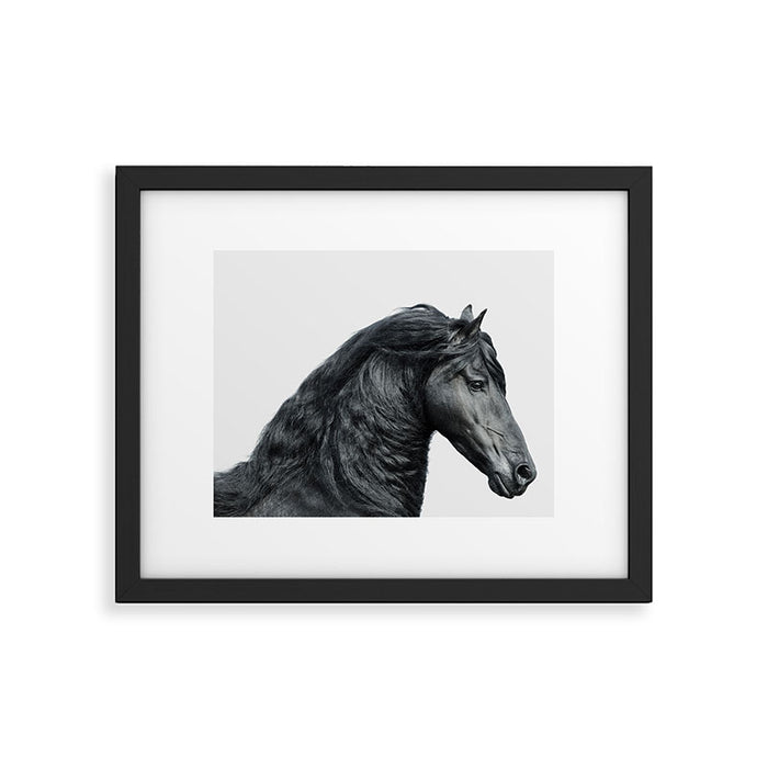 Black Beauty - Minimalist Black and White Photography Framed Art Print Gallery Image 1