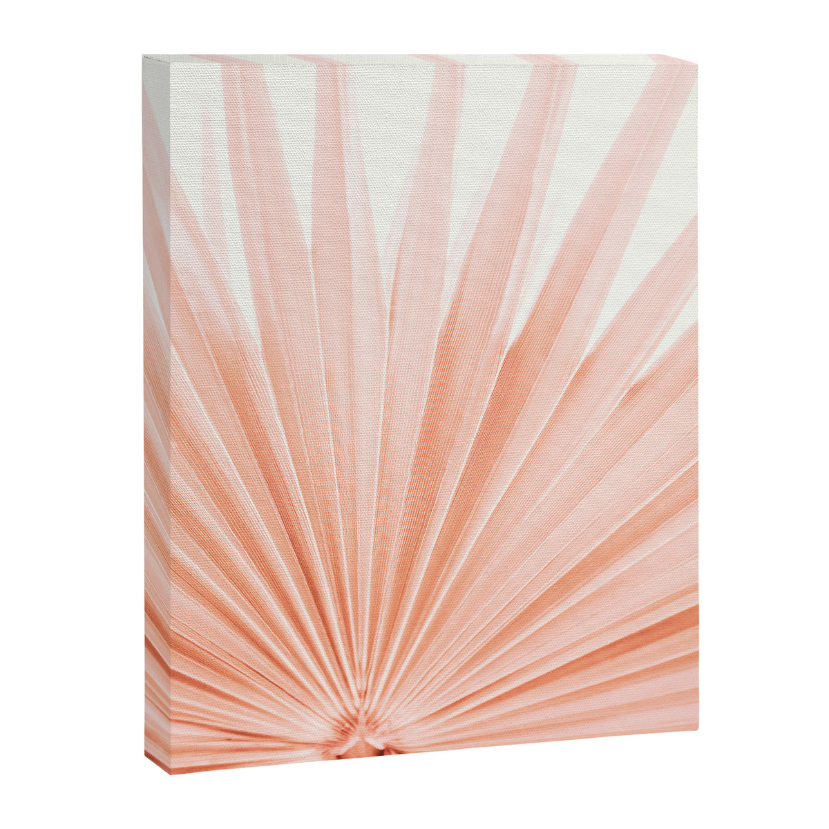 Blush Pink Fan Palm Canvas Print Gallery Image 6