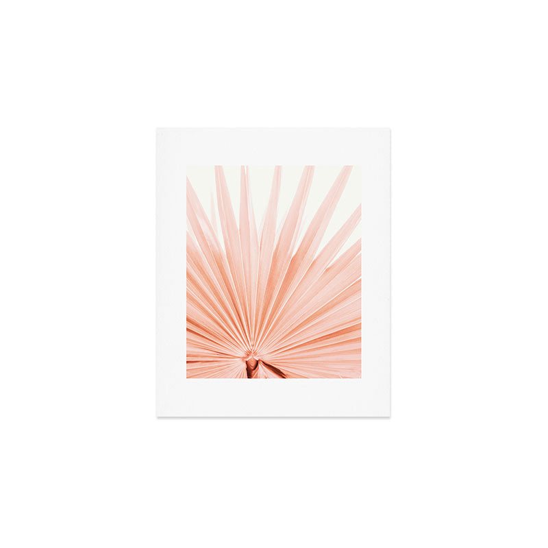 Blush Pink Fan Palm Art Print Gallery Image 1