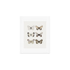 Butterflies in Neutral Colors Art Print Gallery Image 1