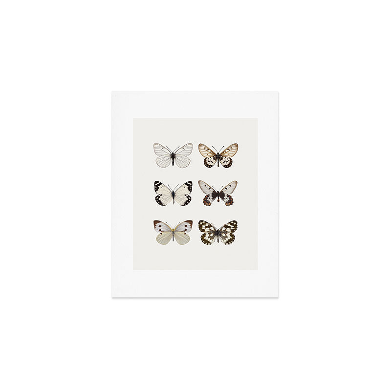 Butterflies in Neutral Colors Art Print Gallery Image 1