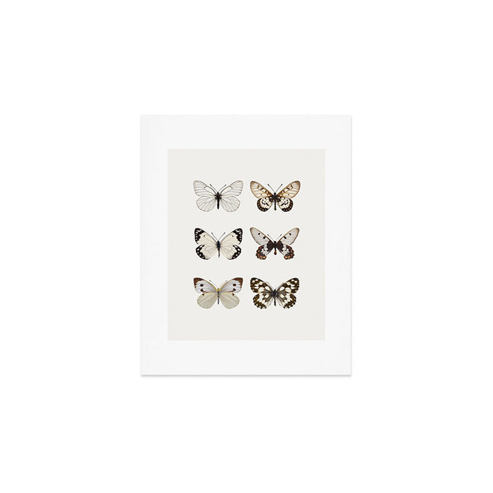 Butterflies in Neutral Colors Art Print Gallery Image 1