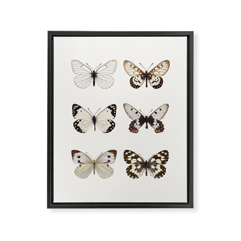 Butterflies in Neutral Colors Framed Canvas Print Gallery Image 6