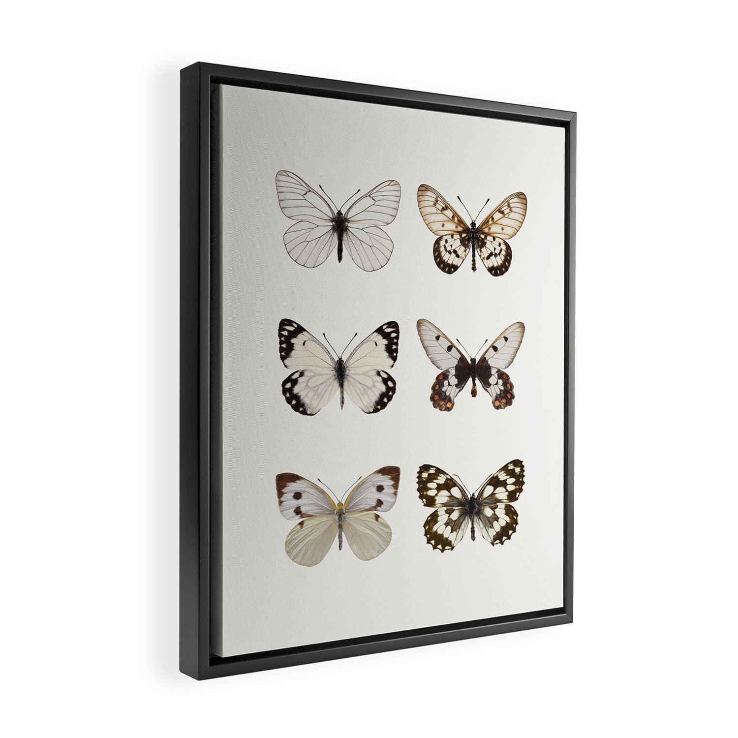Butterflies in Neutral Colors Framed Canvas Print Gallery Image 2
