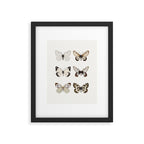 Butterflies in Neutral Colors Framed Art Print Gallery Image 5