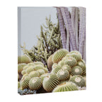 Cactus Garden #2 Canvas Print Gallery Image 6