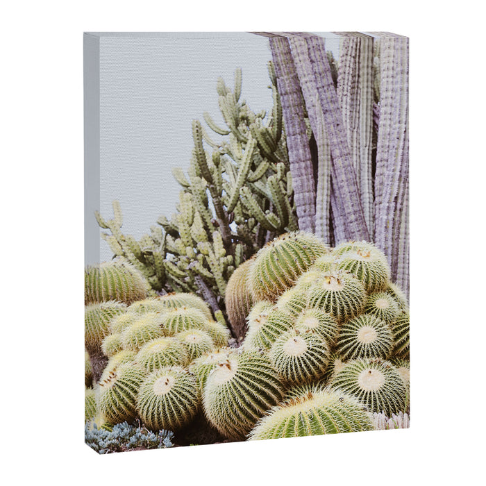 Cactus Garden #2 Canvas Print Gallery Image 1