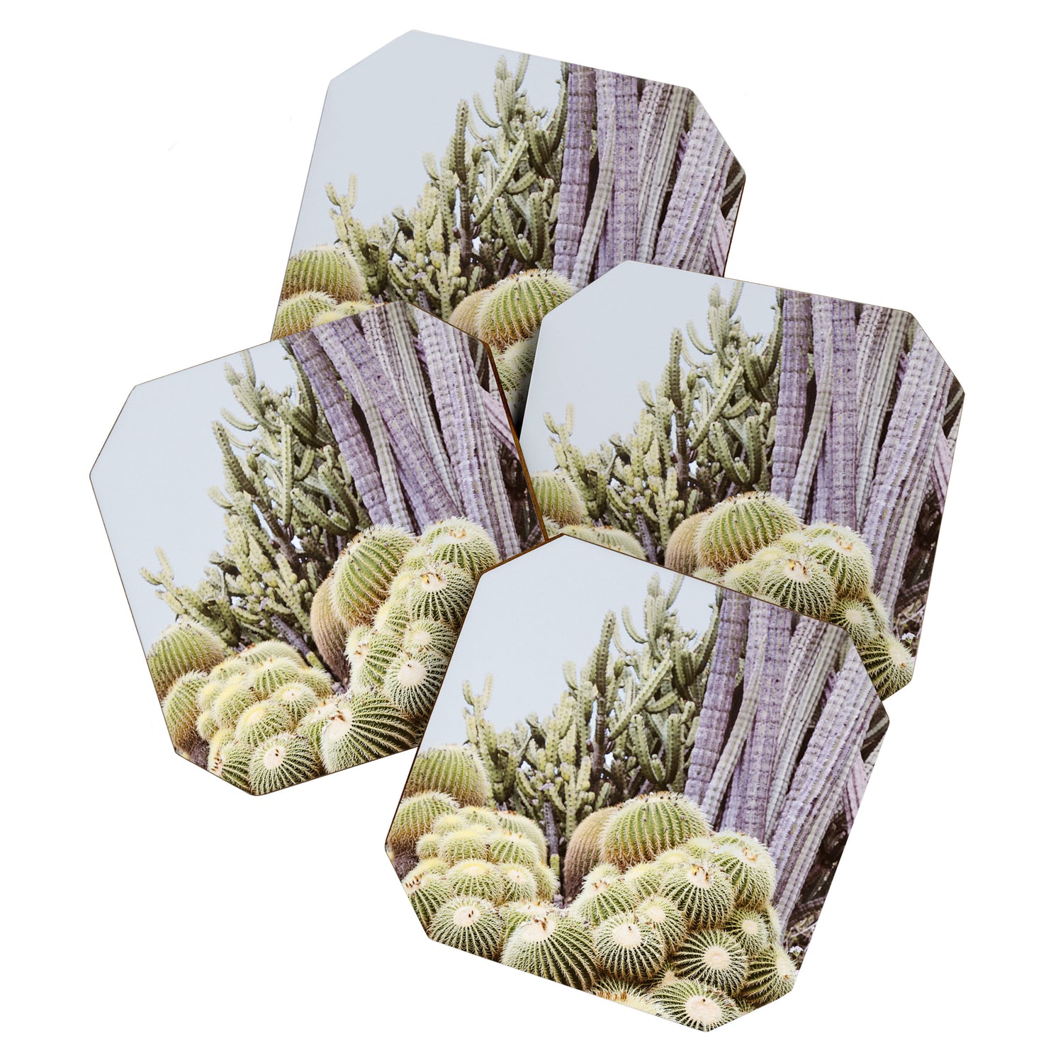 Cactus Garden #2 Coaster Gallery Image 1