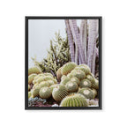 Cactus Garden #2 Framed Canvas Print Gallery Image 6