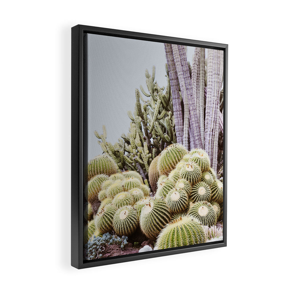 Cactus Garden #2 Framed Canvas Print Gallery Image 2