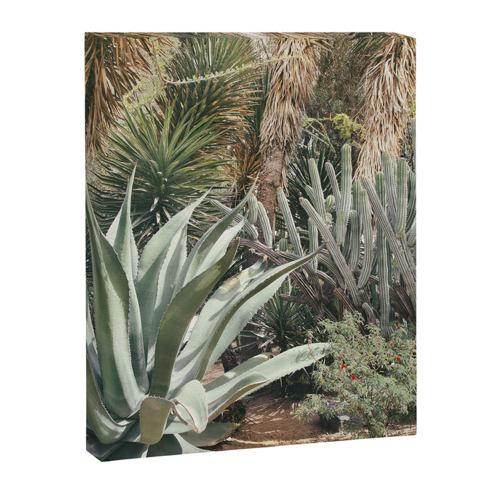 Cactus Garden #3 - Nature Photography Canvas Print Gallery Image 1