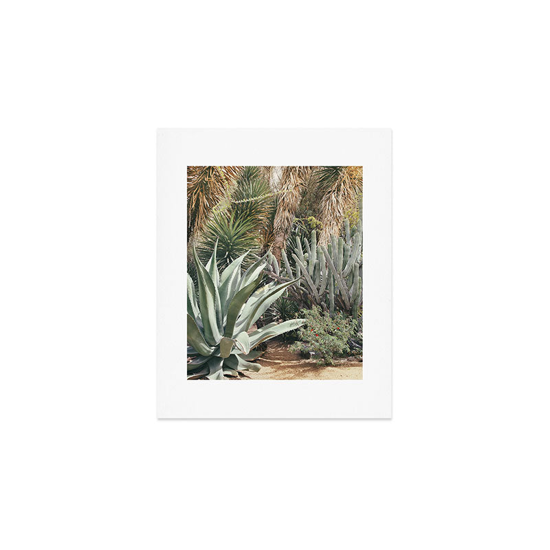 Cactus Garden #3 - Nature Photography Art Print Gallery Image 1