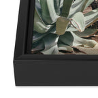 Cactus Garden #3 - Nature Photography Framed Canvas Print Gallery Image 3